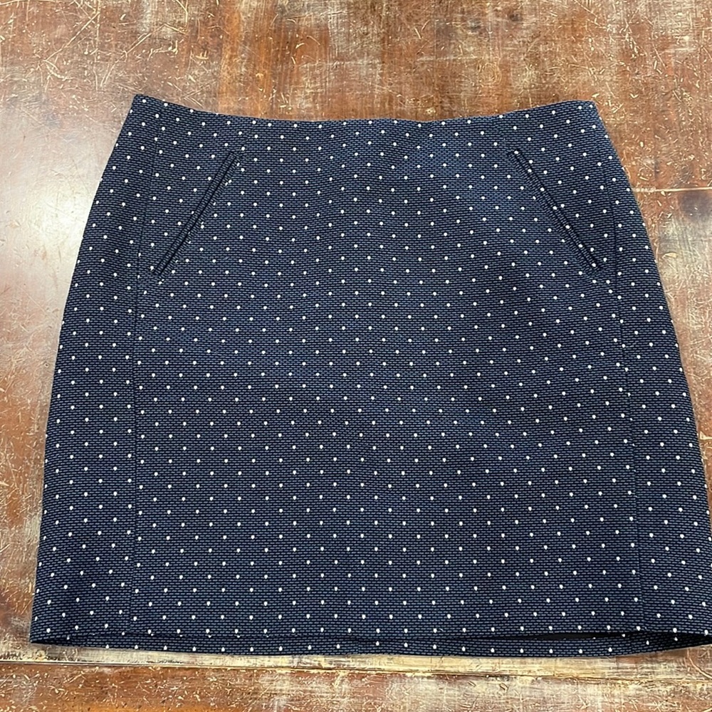 Ann Taylor LOFT Sz 12 Skirt